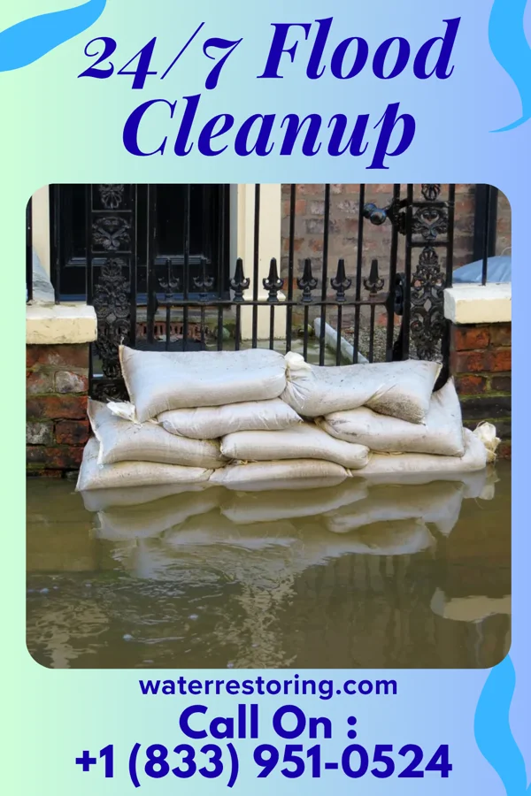24/7 Flood Cleanup in Edwards, MS