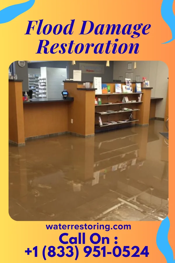 Flood Damage Restoration in Edwards, MS