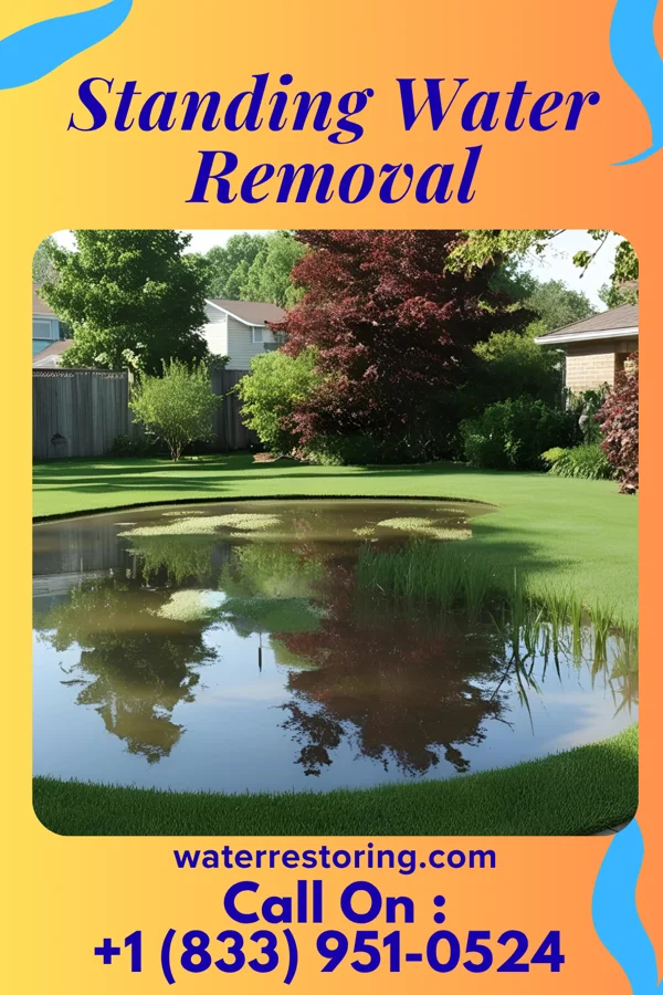 Standing Water Removal in Edwards, MS